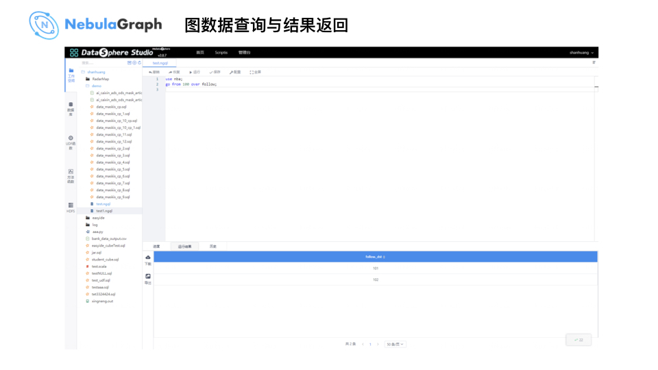 Nebula Graph 在微众银行数据治理业务的实践 